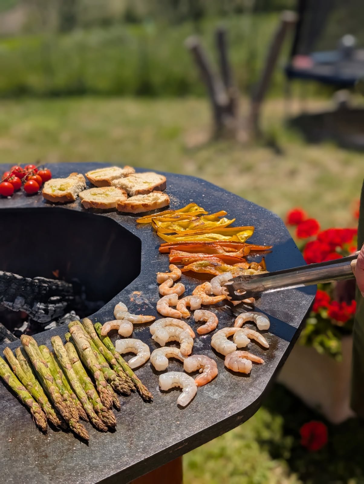 EUCLIDE 1000 – Braciere BBQ professionale Made in Italy - immagine 4