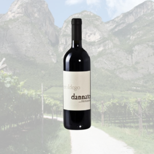 Teroldego Dannato 2017 Redondel – Vigneti delle Dolomiti IGT